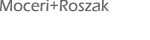 developer logo